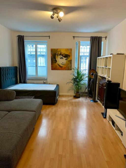 Una sala de estar con un sofá y un televisor. en HQ Apartments Munich, en Múnich