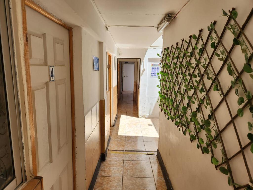 Fotografie z fotogalerie ubytování HOSTAL SOL ATACAMA -CALDERA v destinaci Caldera