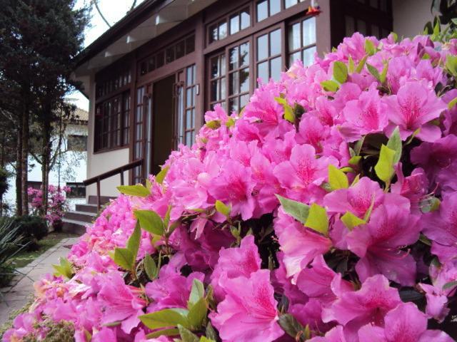 Pousada Gardenia Guest House  Pousada Gardenia Guest House