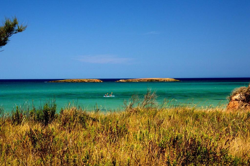 Táj Show holiday homes közelében