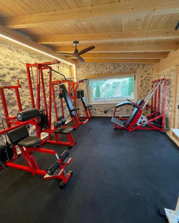 Fitness centrum a/nebo fitness zařízení v ubytování Roba Degli Ulivi