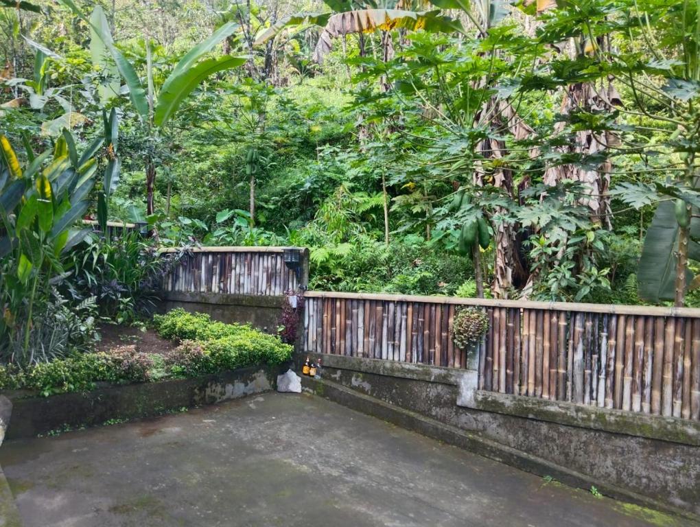En hage utenfor Villa Kubu Gitgit