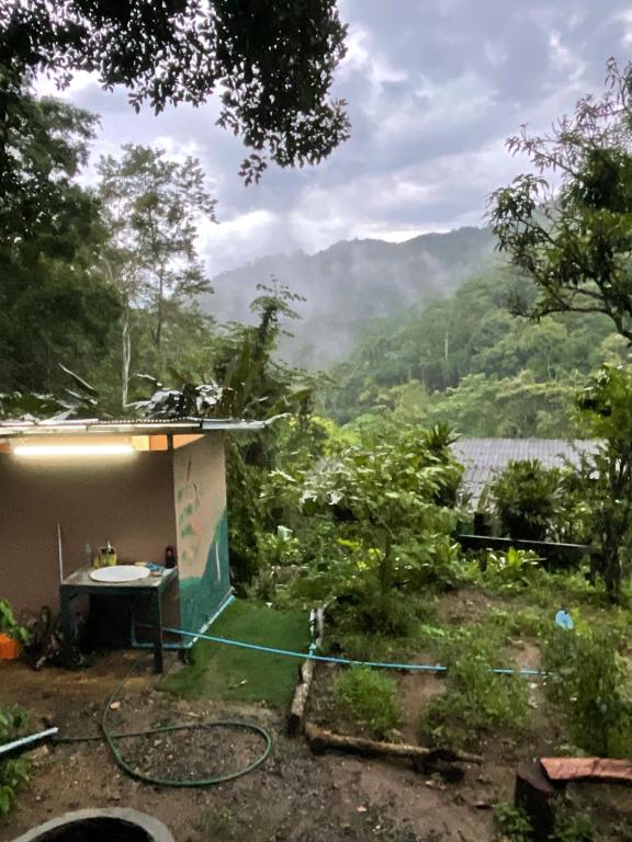 Ảnh trong thư viện ảnh của Coffee view camping ,Chiangmai ở Ban Pok Nai