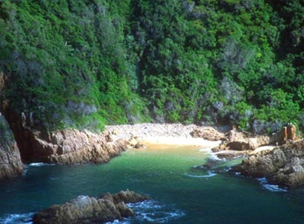 Knysna Lodge - Self Catering Unit with Woodfired Hot Tub - Image 10