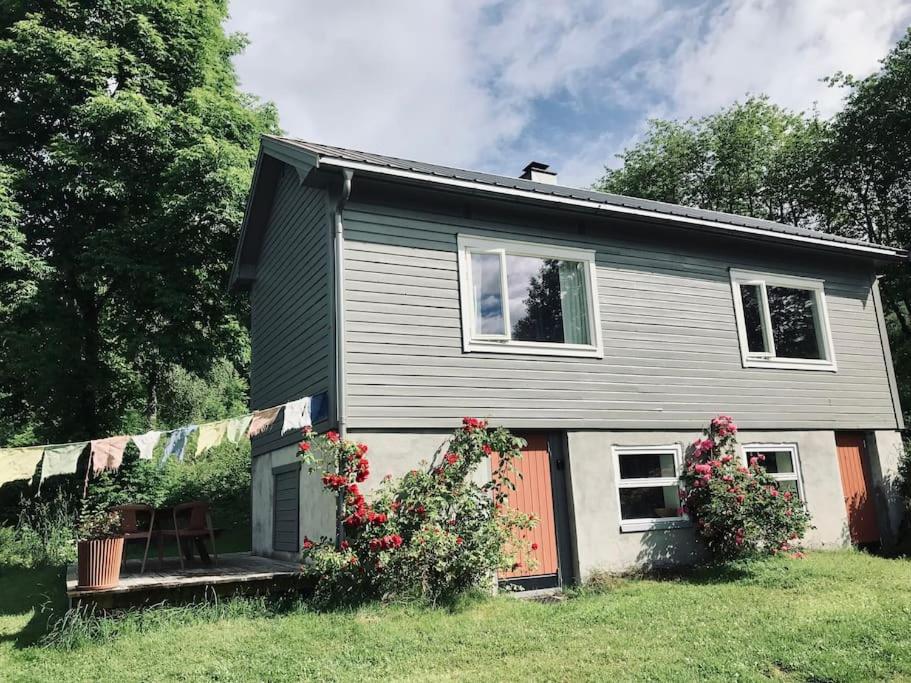 Zahrada ubytování Romsdal Lodge - Det grå huset