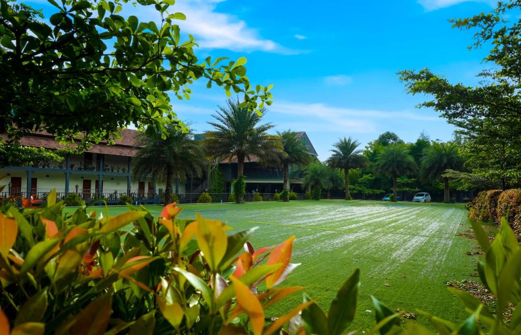 Zahrada ubytování Fern Tree Resort