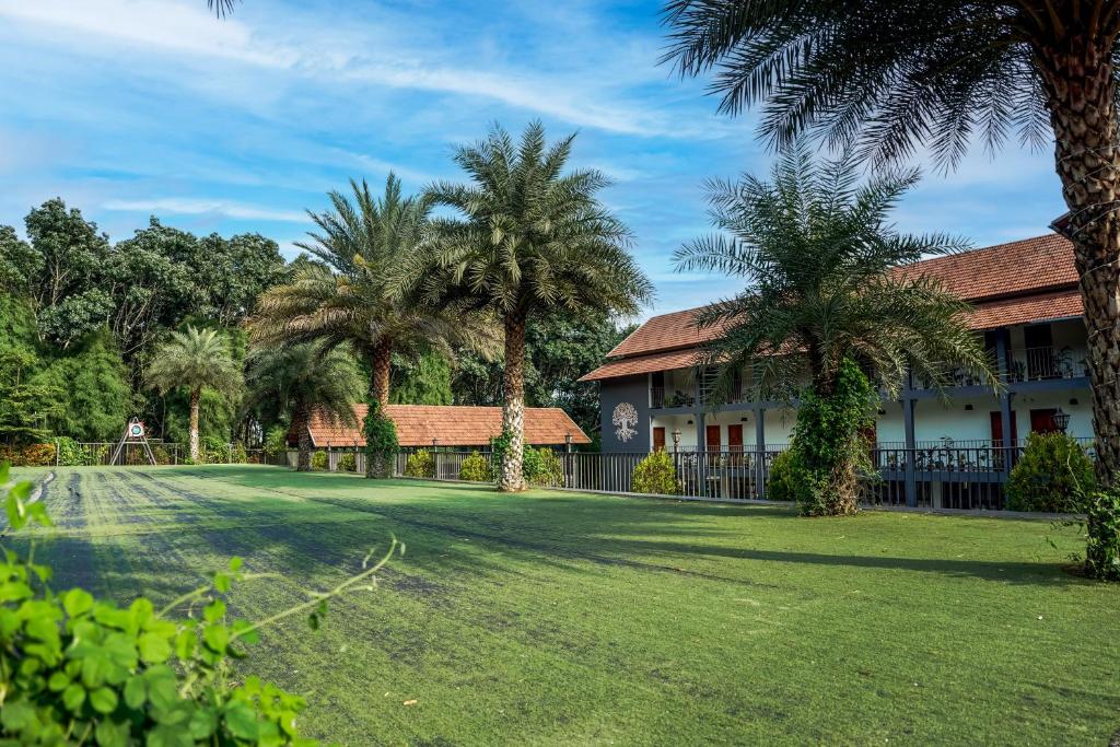 Zahrada ubytování Fern Tree Resort