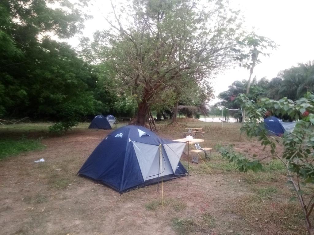 Galeriebild der Unterkunft Atakwame Island in Atimpoko