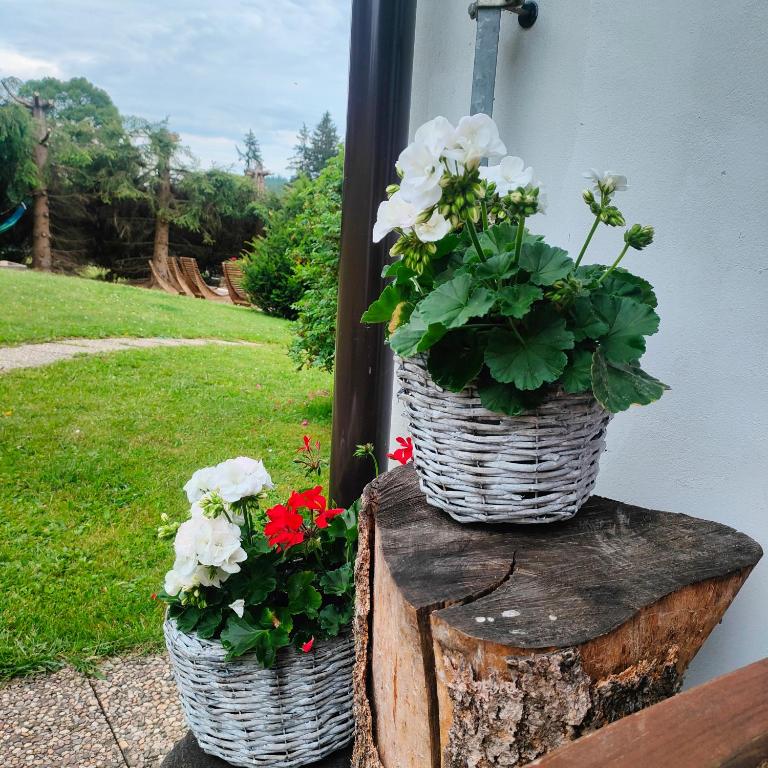 Zahrada ubytování U Tomíčků