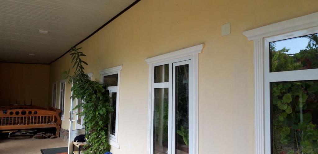 Zahrada ubytování Sim-Sim Hostel