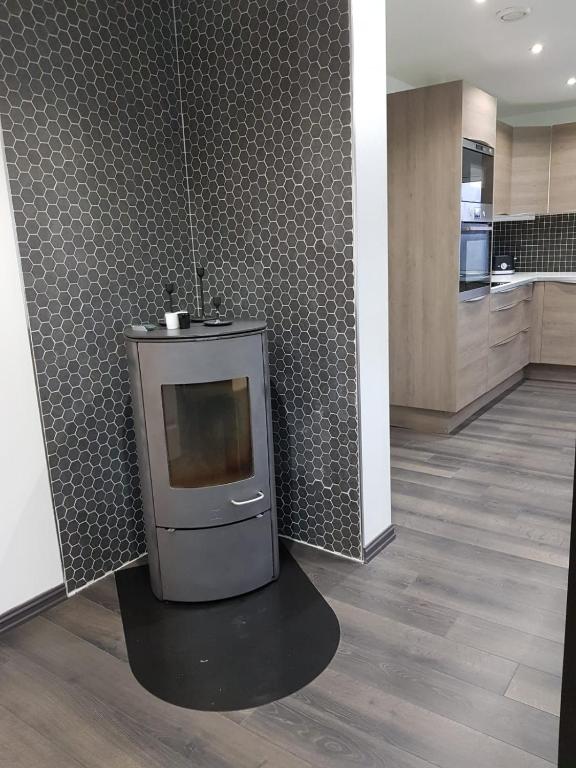 Kuchyň nebo kuchyňský kout v ubytování Lagunen Apartments