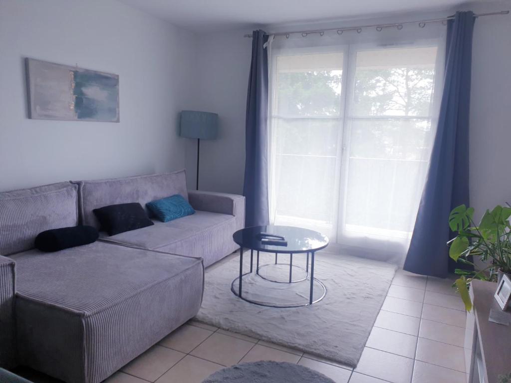 un salon avec un canapé et une table dans l'établissement Location Blois, à Blois