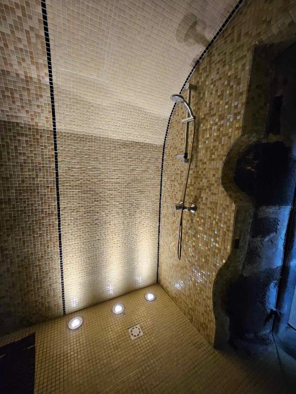 Fotografie z fotogalerie ubytování DATCHA ANASTASIA v destinaci Besse-et-Saint-Anastaise