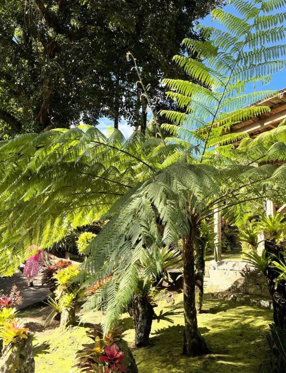 Giardino di Couleur Caraïbes-TI EVASION appartement dans un hôtel 3 étoiles vue mer
