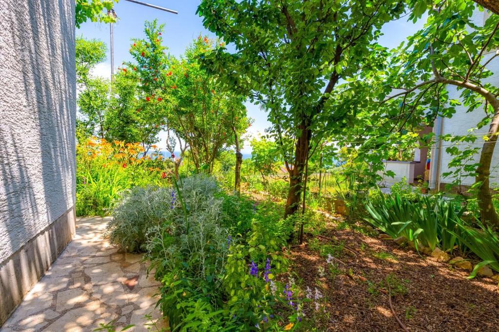 Zahrada ubytování Apartments Matea, Mali Lošinj