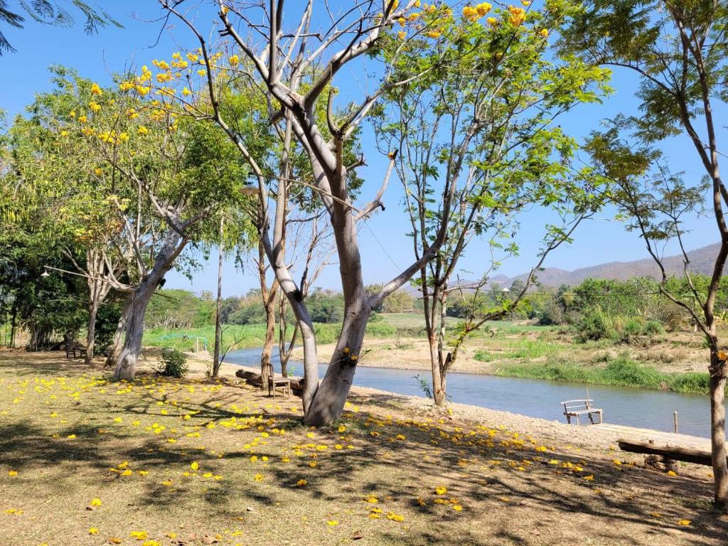 บ้านไม้คนเมือง Baan Mai Kon Muang Pai Resort - 15