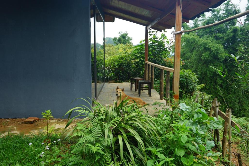 Zahrada ubytování Sapa Hillcrest homestay