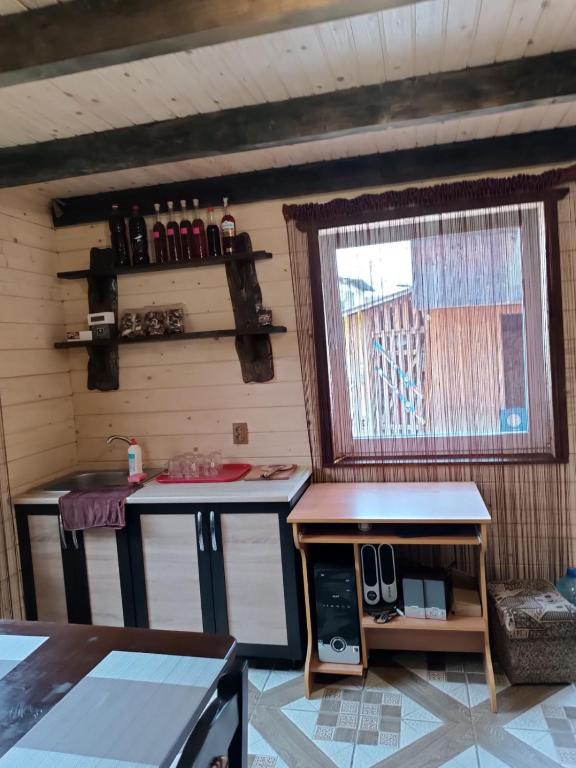 Fotografie z fotogalerie ubytování Rukavichka v destinaci Pilipets