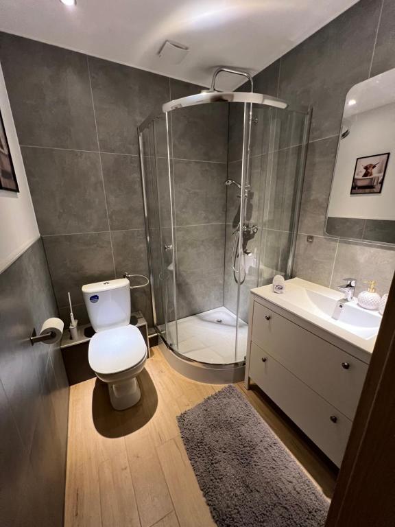 Koupelna v ubytování Alpha Rooms