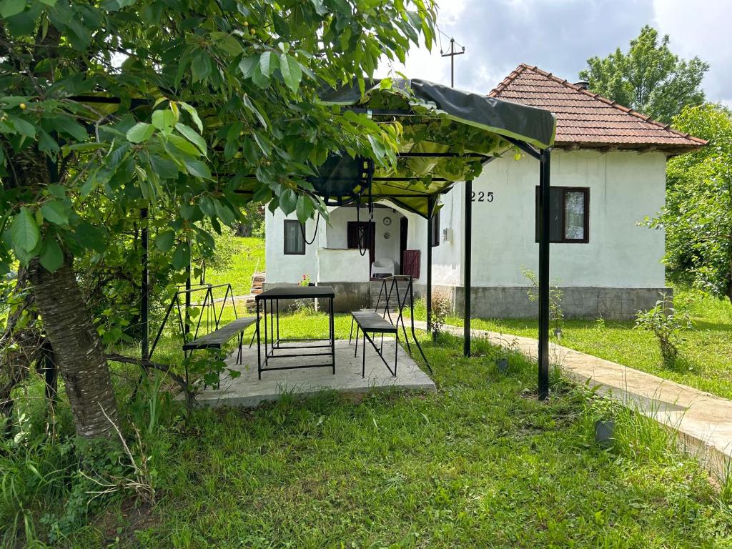 Pridvorul lui Viorel
