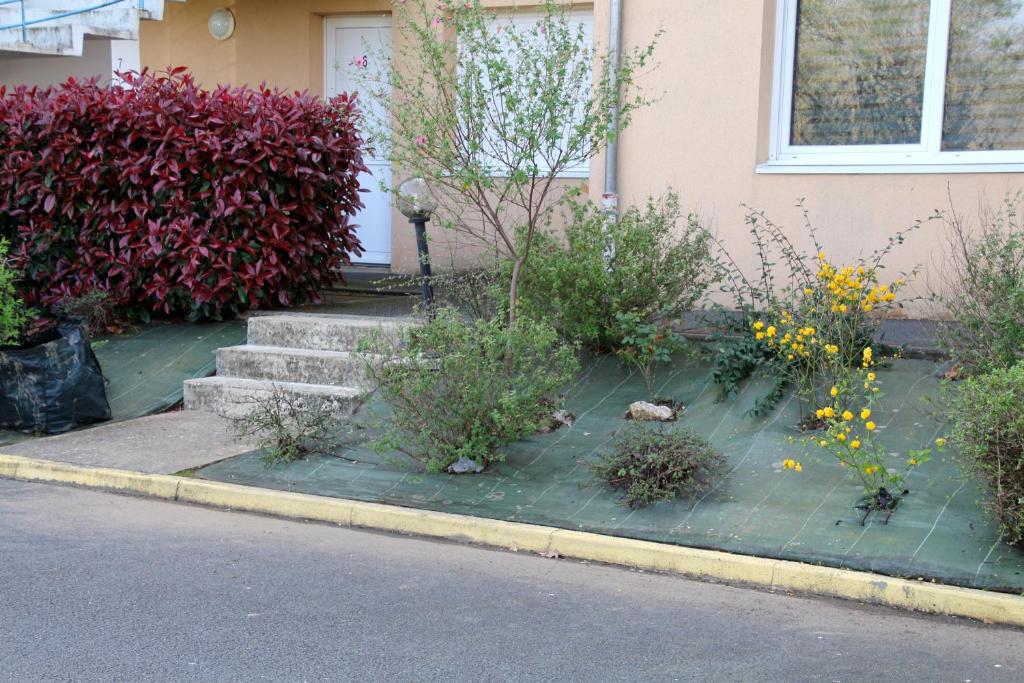 une maison avec un tas de plantes sur le trottoir dans l'établissement Danielle PICARDA, au Mans