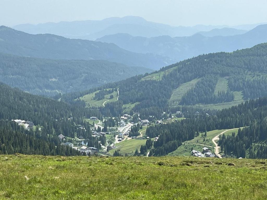 Příroda nedaleko apartmánu