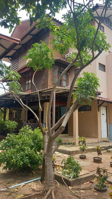 Baan Lotus Guest House - 19