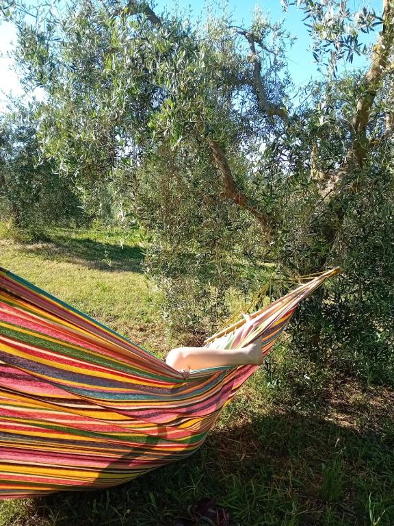 Zahrada ubytování Paradise Agricamp