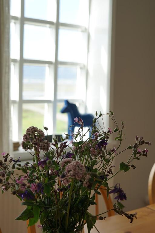 Fotografie z fotogalerie ubytování Helluland Guesthouse v destinaci Sauðárkrókur