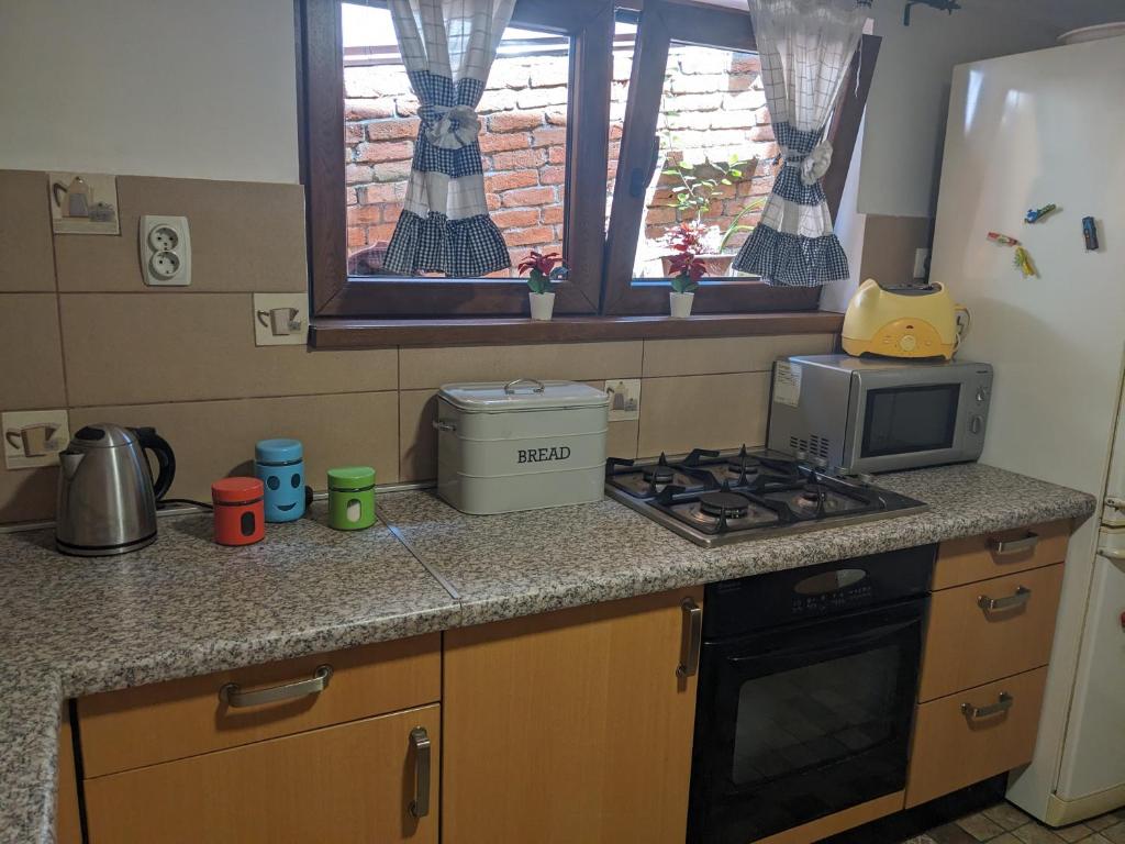 una cocina con estufa y microondas en Kiki, en Smederevo