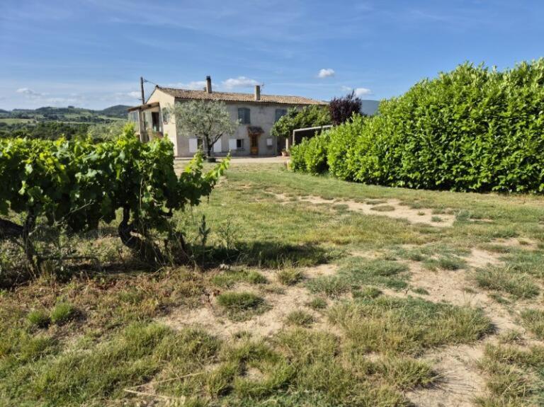 une maison au milieu d'un champ planté de vignes dans l'établissement Gîte entre Rieu et Fournache, à Mirabel-aux-Baronnies