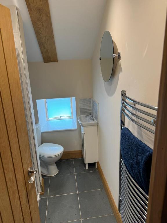 a small bathroom with a toilet and a mirror at Dovecot in Altarnun