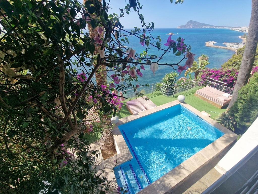 Condesa del Mar apartamentos adults only - 8