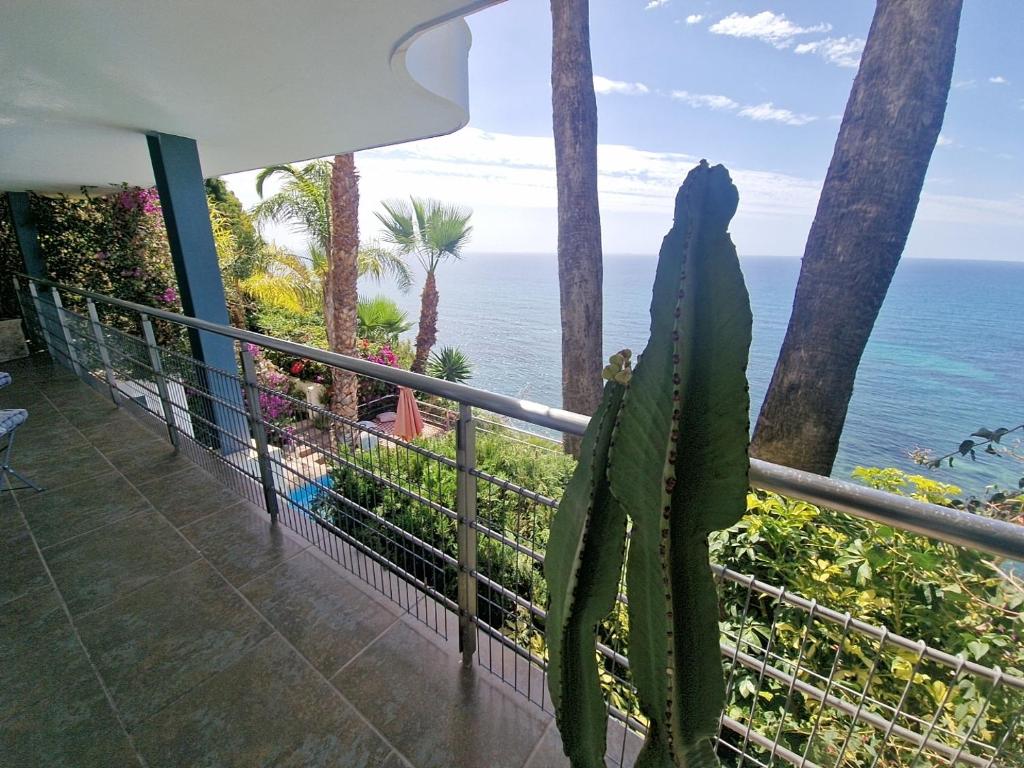 Condesa del Mar apartamentos adults only - 12