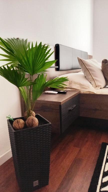 a bedroom with a bed and a potted plant at CLASSY 2-Dormitoare in Baia Mare