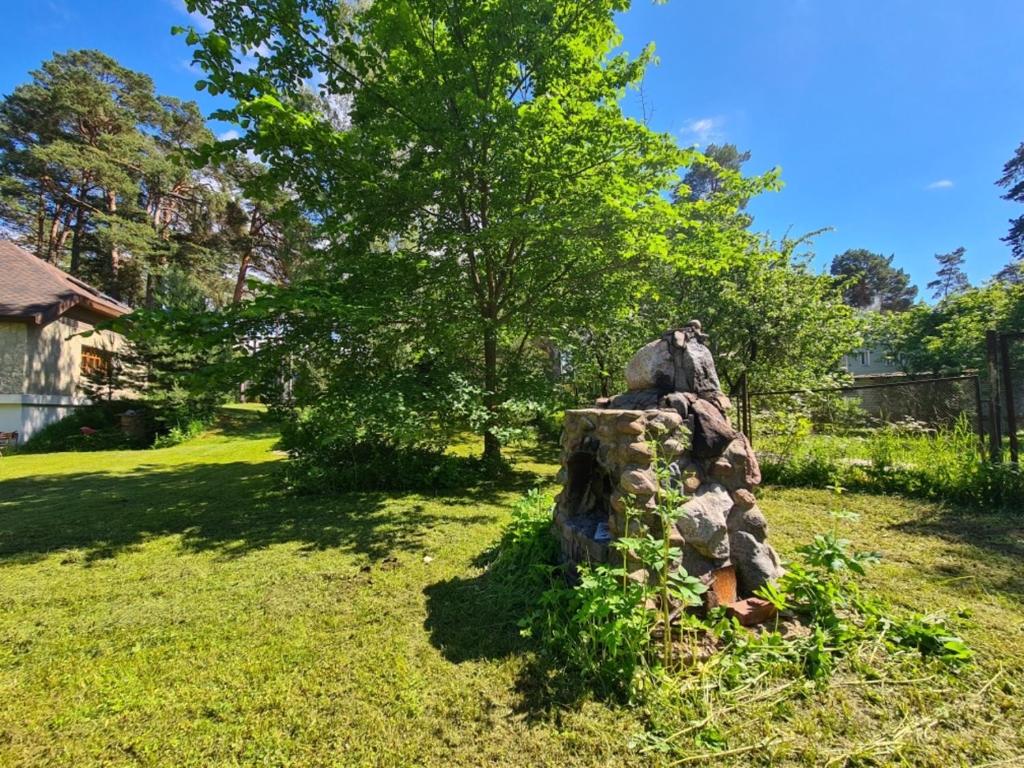 Zahrada ubytování Vabaduse Guesthouse