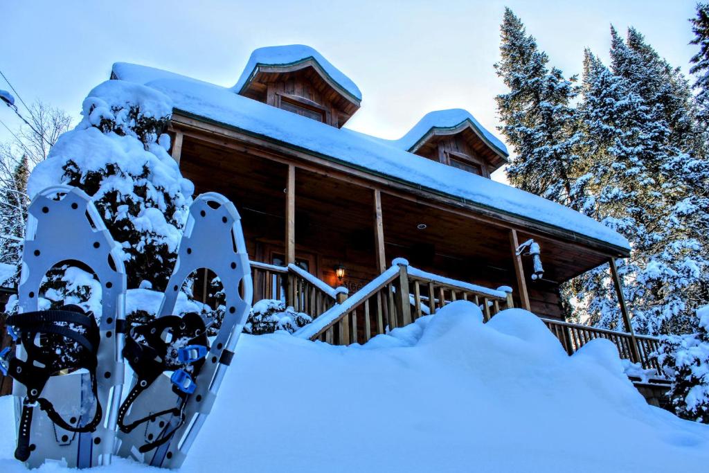 Chalet des Sources SPA Gazebo panoramique talvel