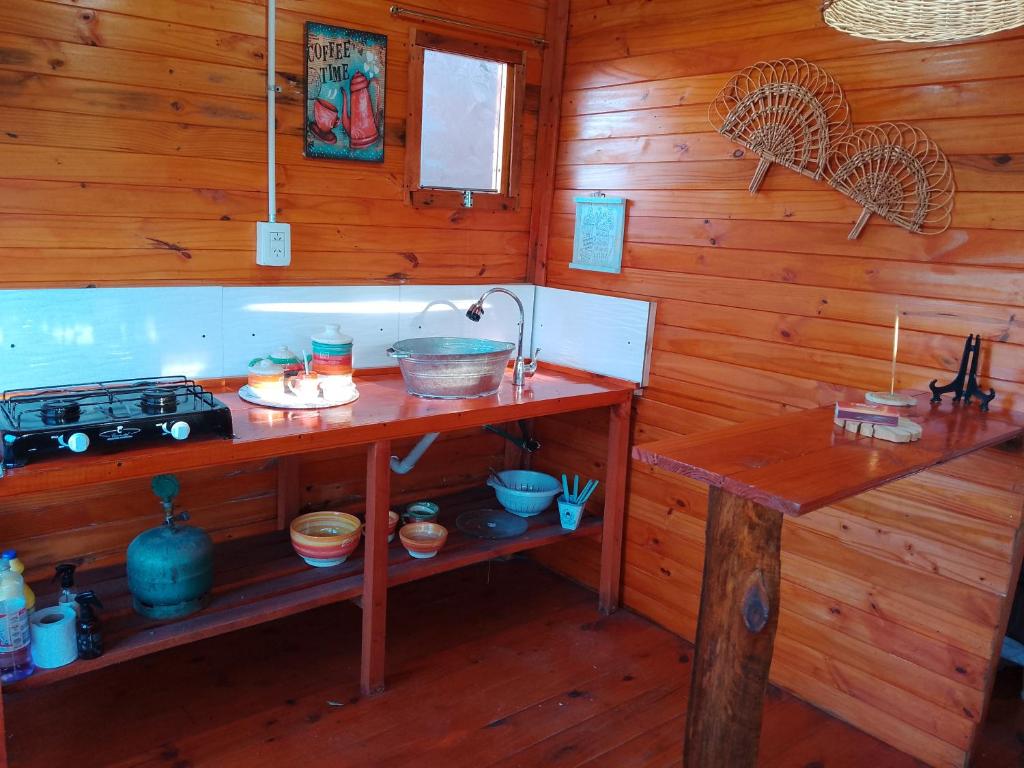 a kitchen with wooden walls and a counter with a stove at FINCA los nogales in General Belgrano