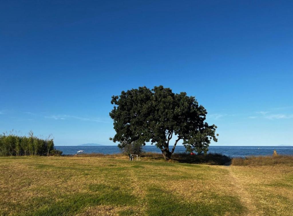 Příroda nedaleko prázdninového domu