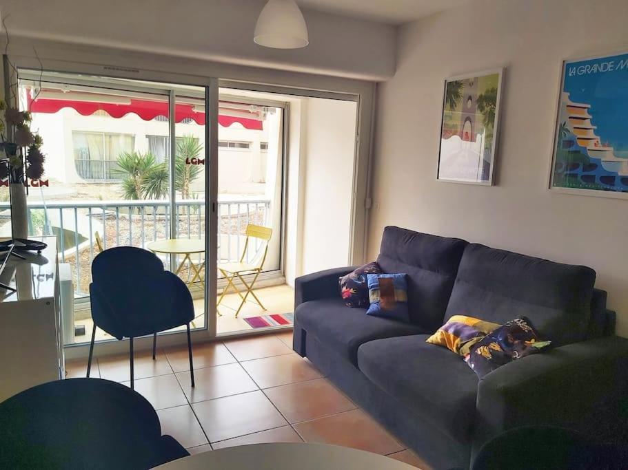 - un chien dormant sur un canapé dans le salon dans l'établissement Nouveau T2 au centre, climatisé, à La Grande Motte