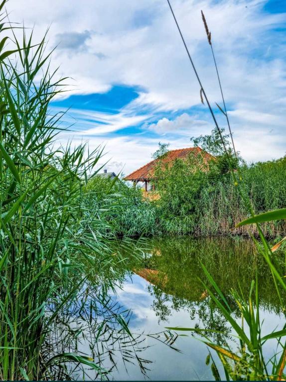 a reflection of a house in the water with grass at Agroturystyka Pod Podkową in Mrągowo