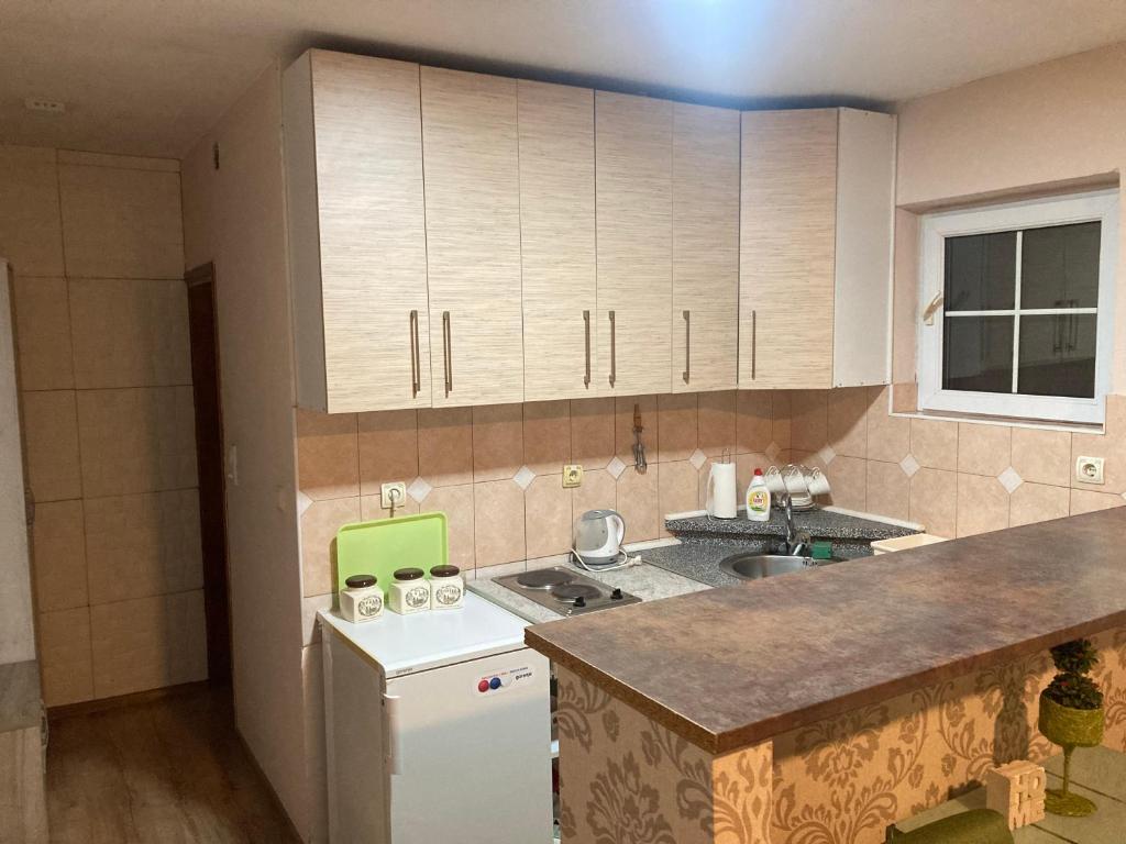 Kuchyň nebo kuchyňský kout v ubytování Apartment Milos