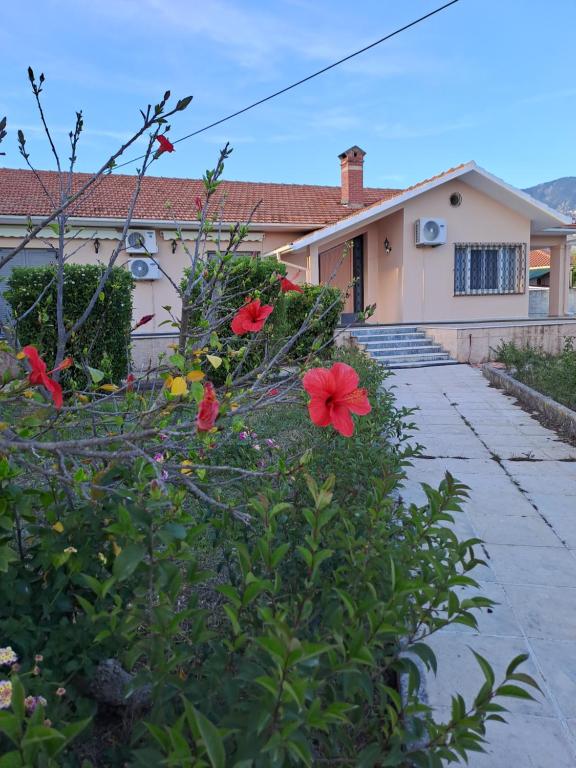 La casa di Costa