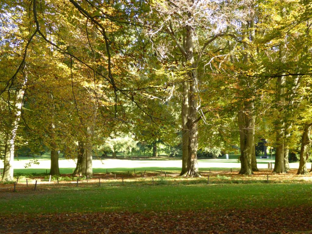 Chez Jean et Daisy - Resim 16