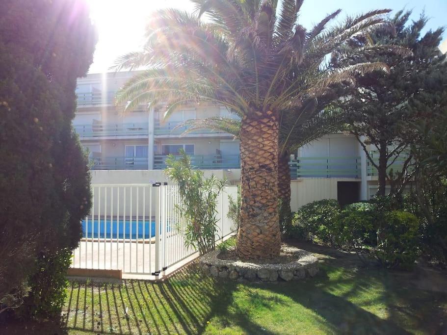 un palmier devant un bâtiment avec une clôture dans l'établissement Appartement RDC avec Terrasse dans residence avec piscine et face à la plage, à Leucate