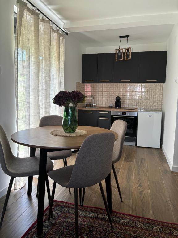 Kuchyň nebo kuchyňský kout v ubytování Žabljak Apartments