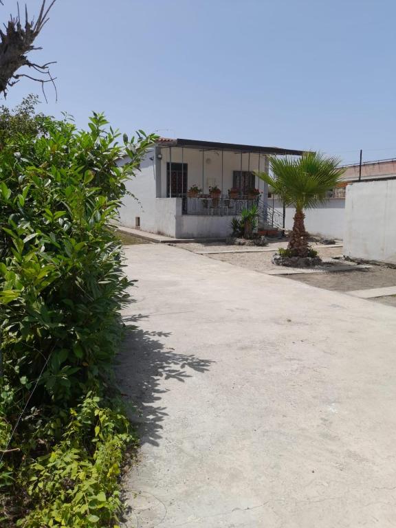 a road in front of a building with a palm tree at B&B Pompeii Airfield in Poggiomarino