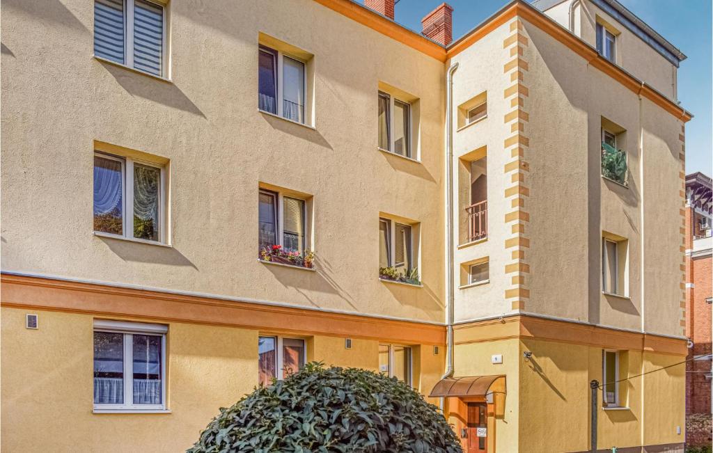 a building with a tree in front of it at Beautiful Apartment In Zielona Góra in Zielona Góra
