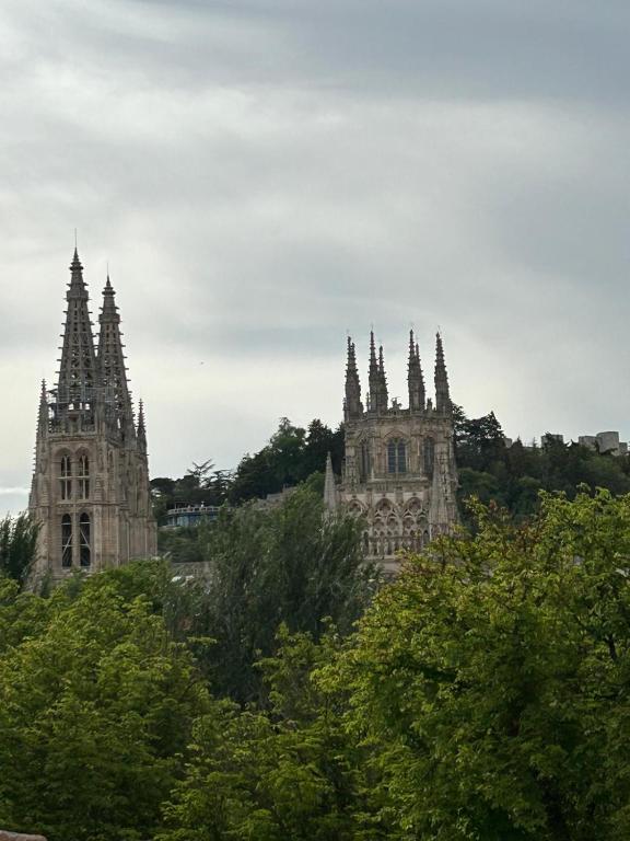 a group of buildings with trees in the foreground at Apartamento calera in Burgos