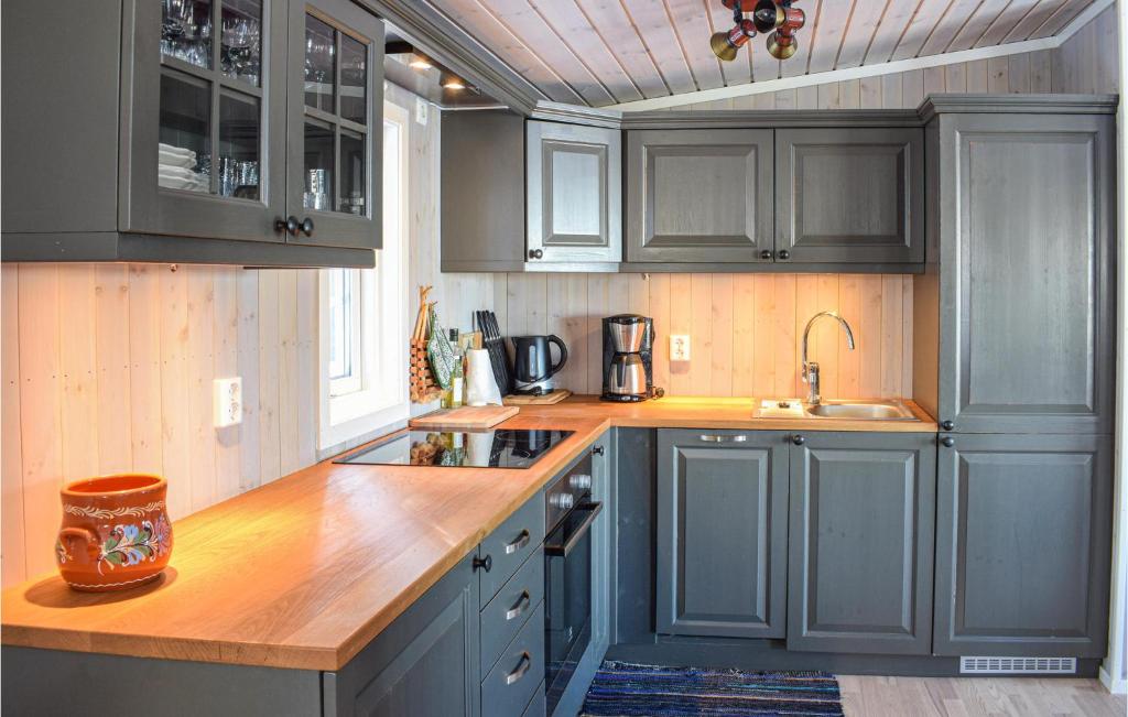 Fotografie z fotogalerie ubytování Lovely Home In Sjusjøen With Kitchen v destinaci Sjusjøen